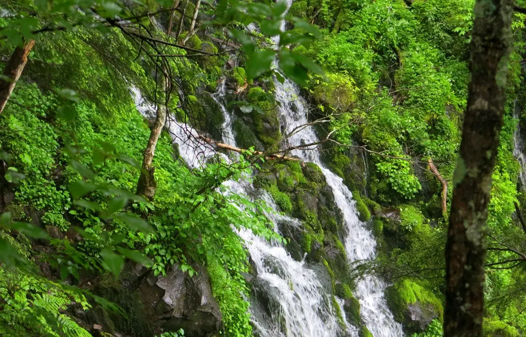 Goshikigahara 五色ヶ原