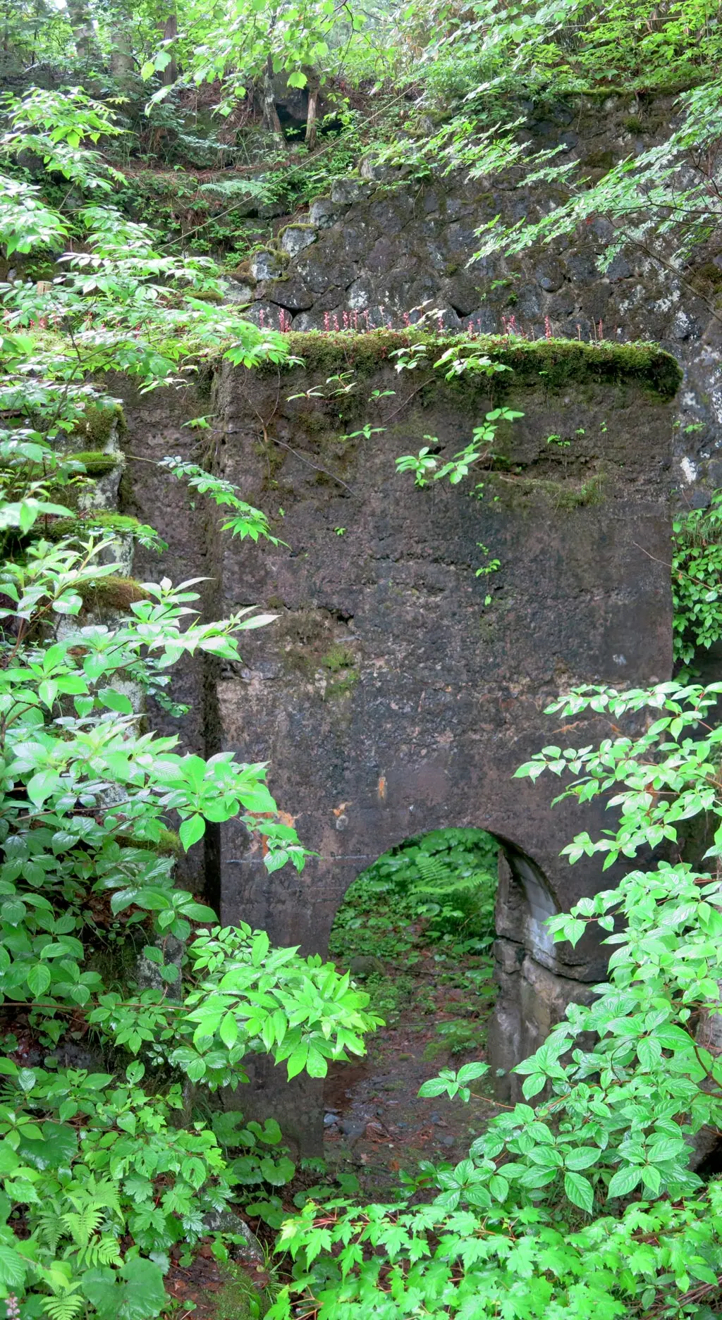 Goshikigahara 五色ヶ原