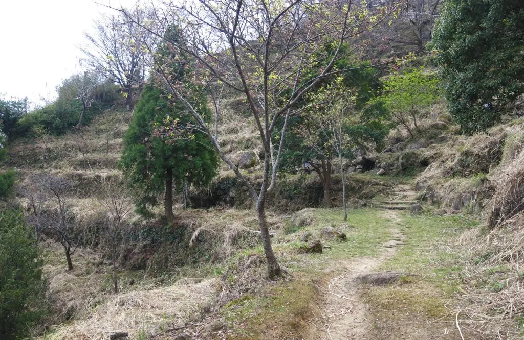 Onigajo Cliff 鬼ヶ城