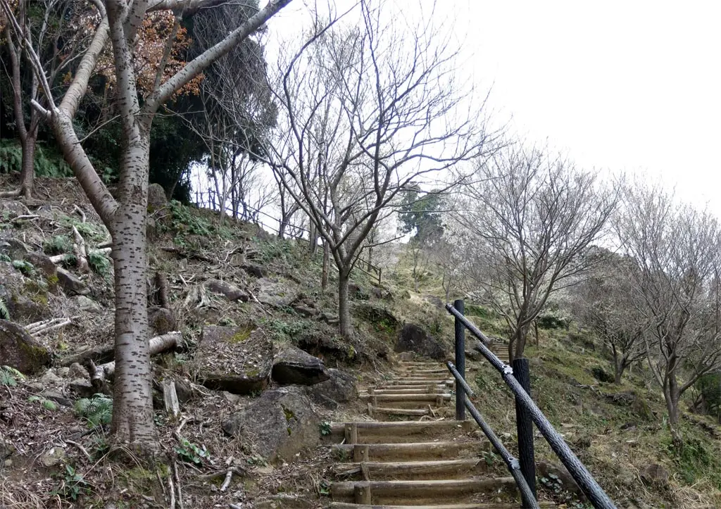 Onigajo Cliff 鬼ヶ城