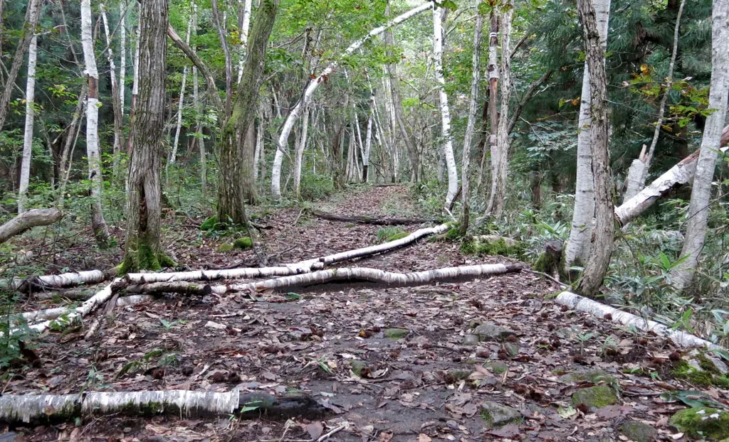 Tengaizan 天蓋山