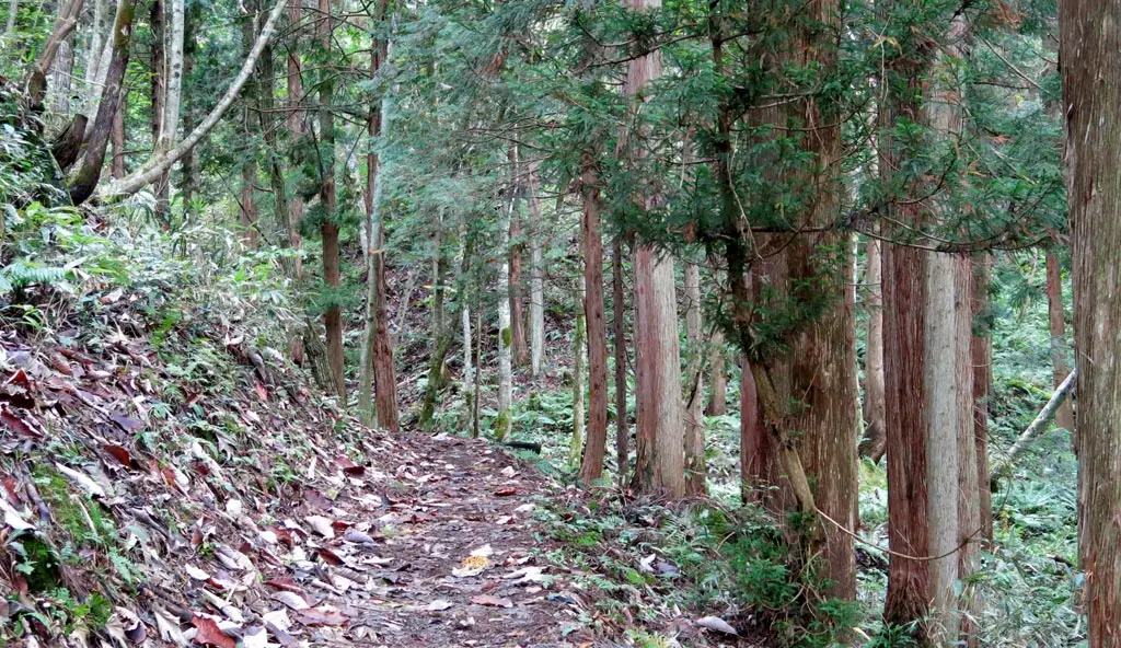 Tengaizan 天蓋山