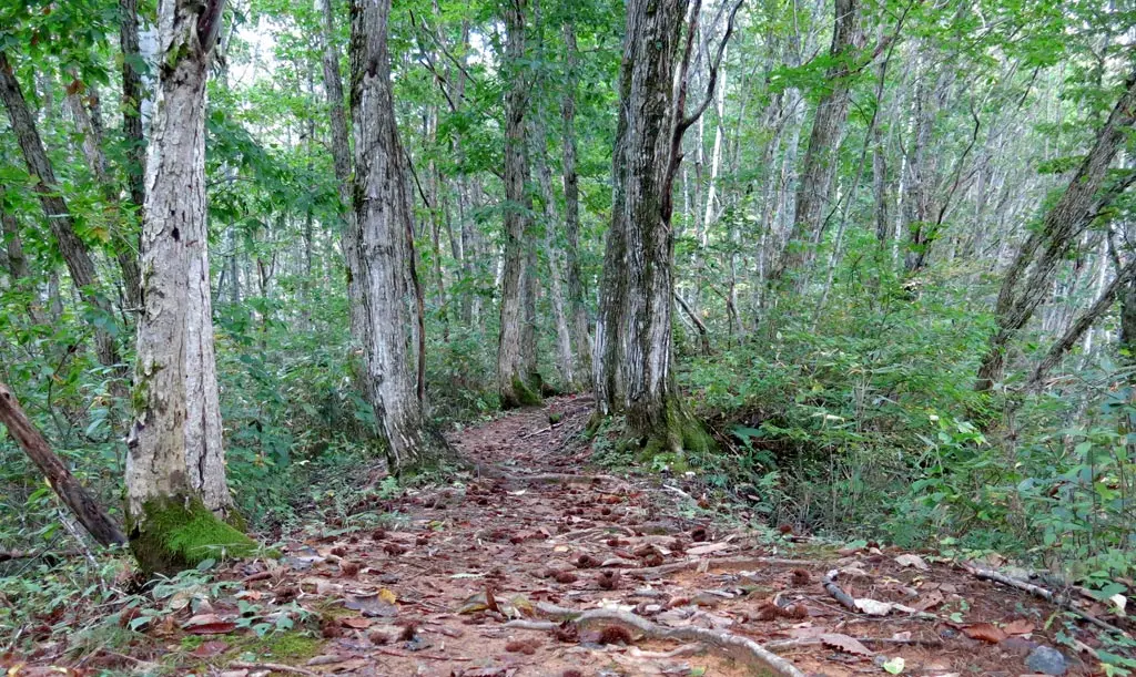 Tengaizan 天蓋山