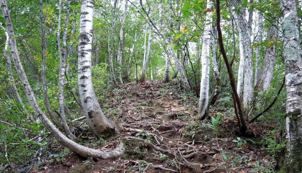 Tengaizan 天蓋山