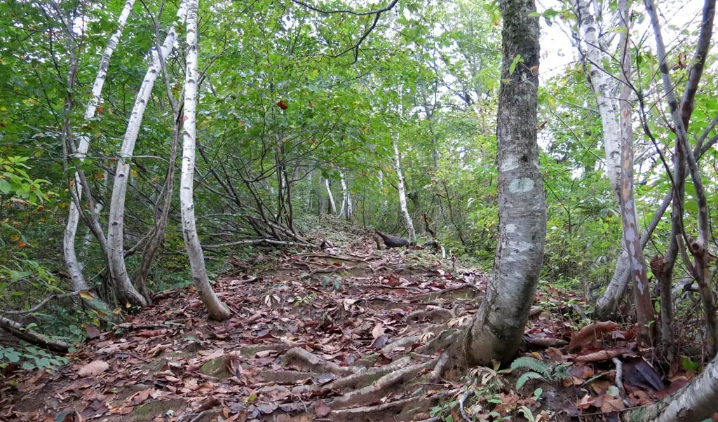 Tengaizan 天蓋山