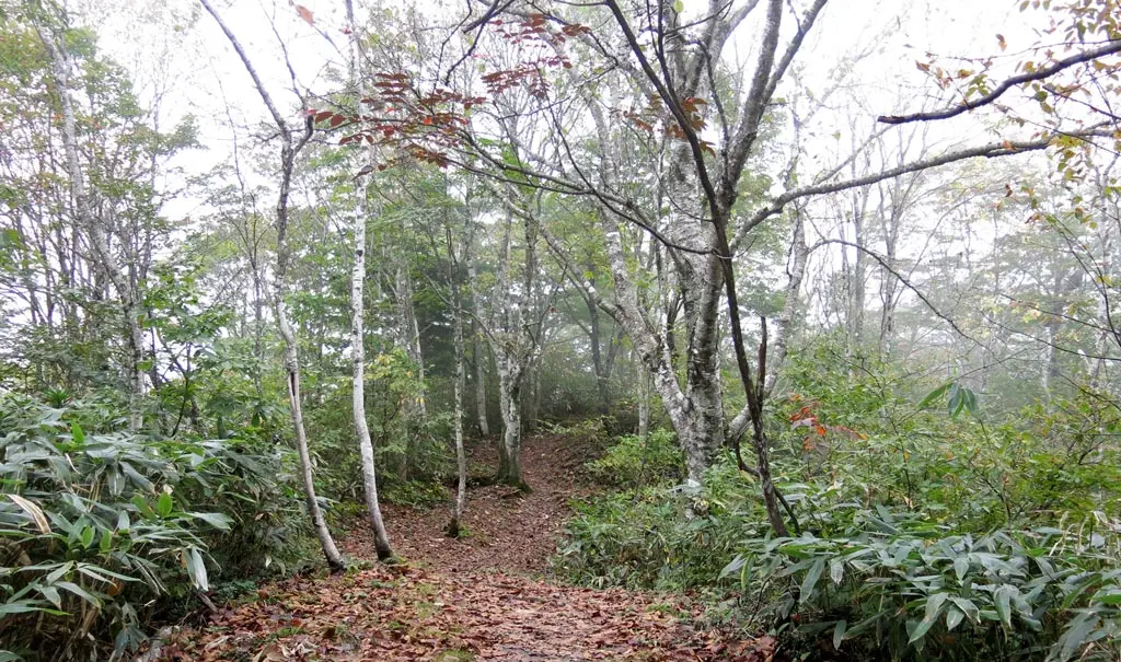 Tengaizan 天蓋山