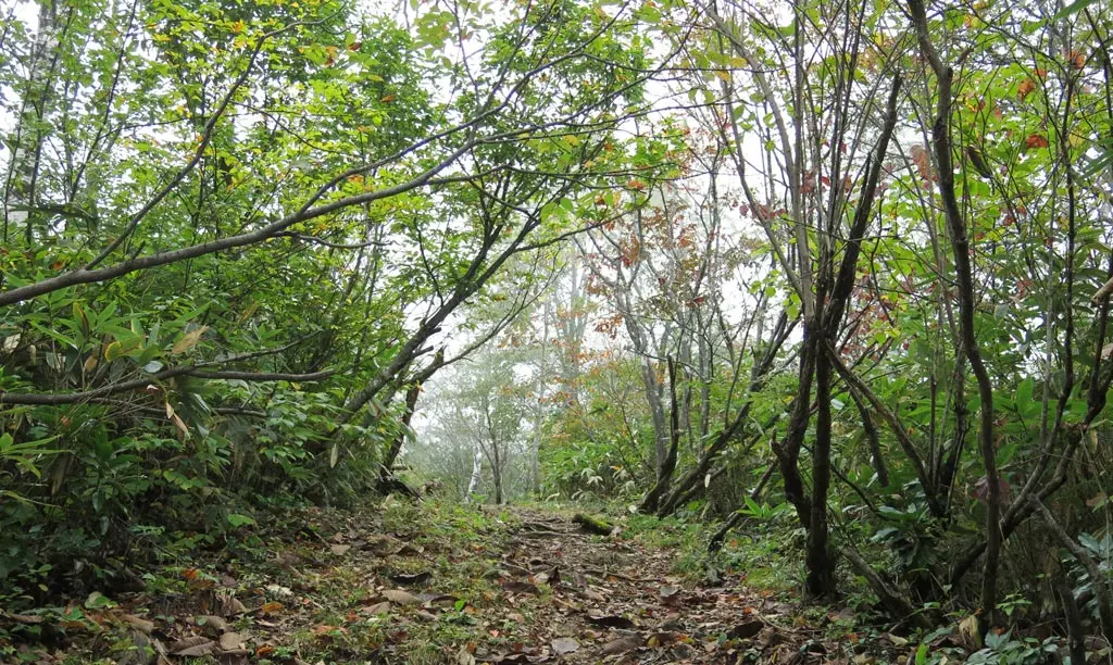 Tengaizan 天蓋山