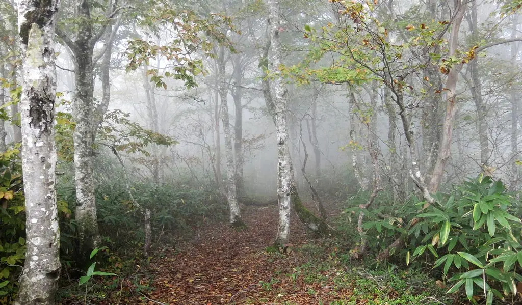 Tengaizan 天蓋山