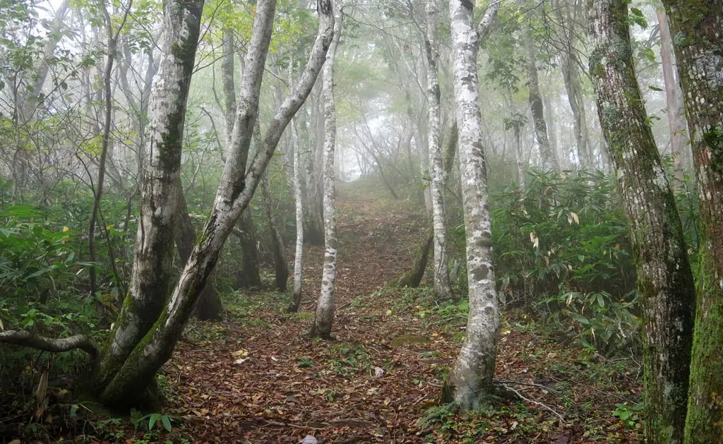 Tengaizan 天蓋山