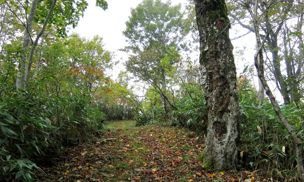 Tengaizan 天蓋山