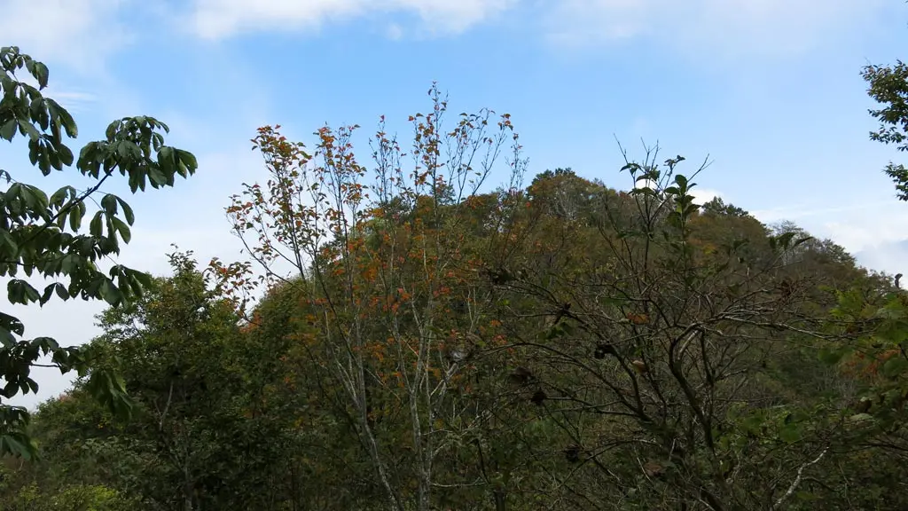 Tengaizan 天蓋山