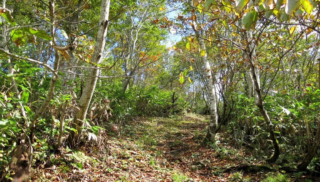 Tengaizan 天蓋山