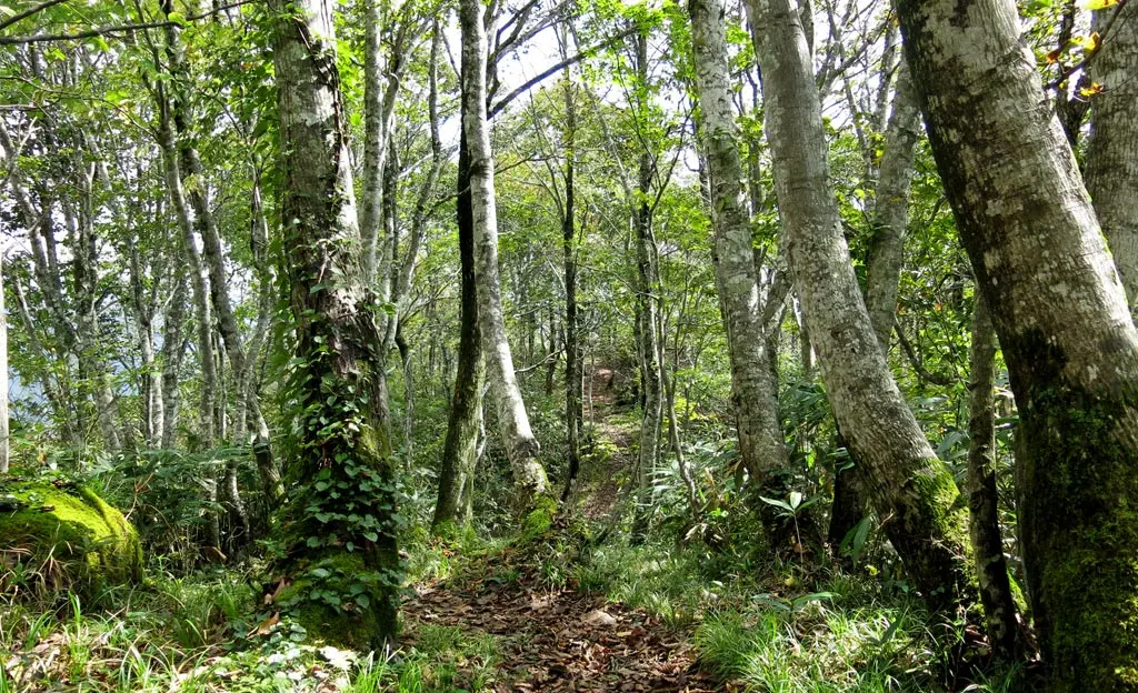 Tengaizan 天蓋山