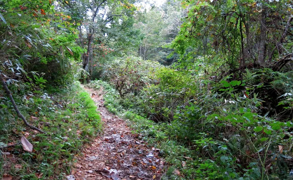 Tengaizan 天蓋山