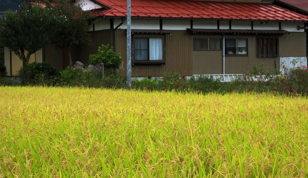 Tengaizan 天蓋山