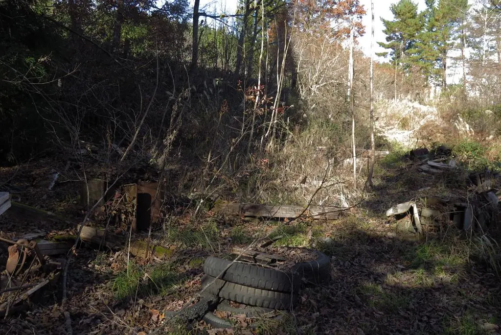 IMG_0132.jpg IMG_0132.jpg