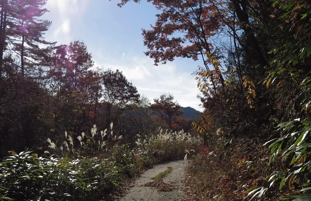 IMG_0146.jpg IMG_0146.jpg