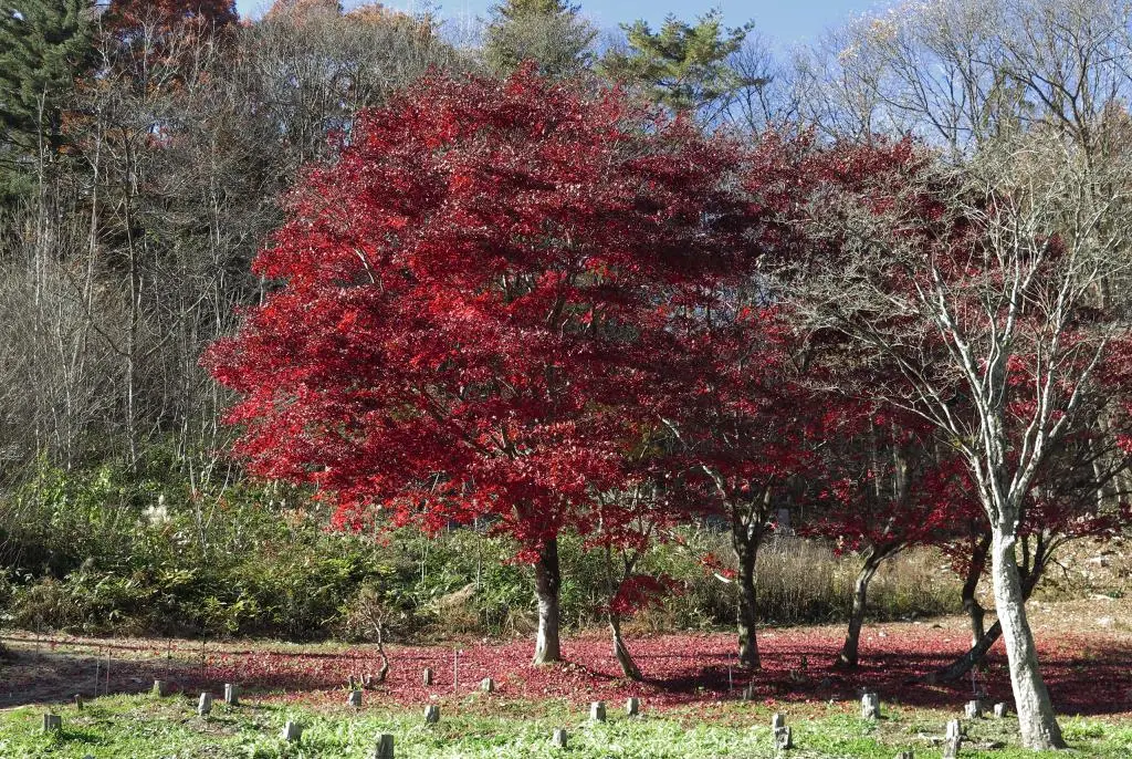 IMG_0150.jpg IMG_0150.jpg