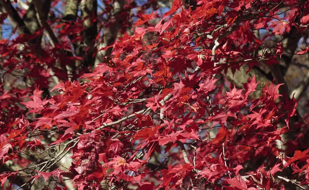 IMG_0159.jpg IMG_0159.jpg