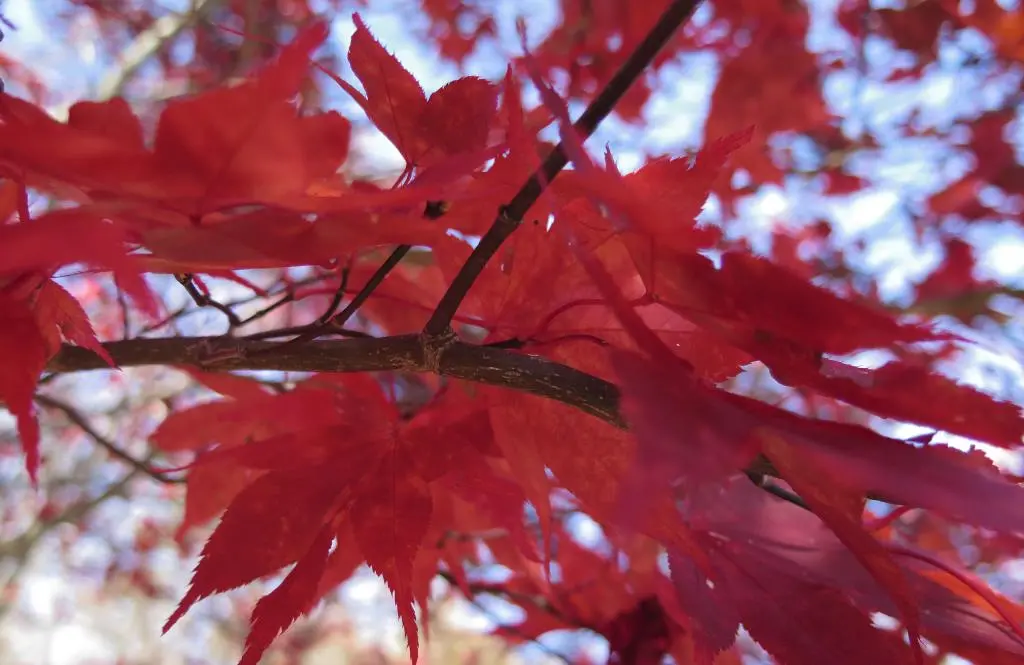 IMG_0164.jpg IMG_0164.jpg