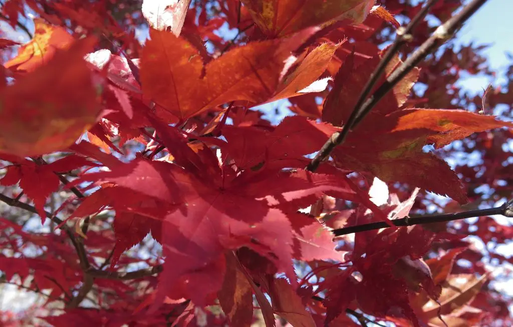 IMG_0167.jpg IMG_0167.jpg