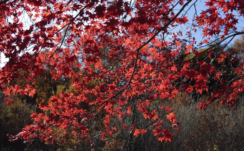 IMG_0168.jpg IMG_0168.jpg