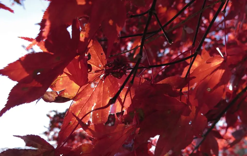 IMG_0170.jpg IMG_0170.jpg