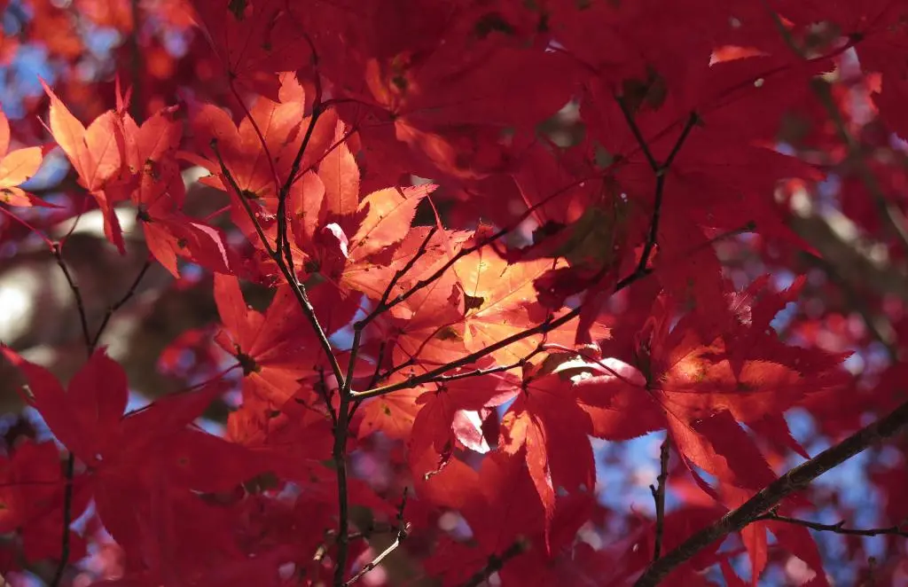 IMG_0174.jpg IMG_0174.jpg