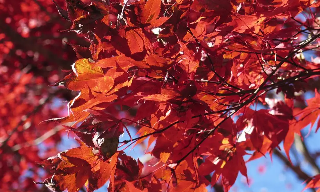 IMG_0180.jpg IMG_0180.jpg