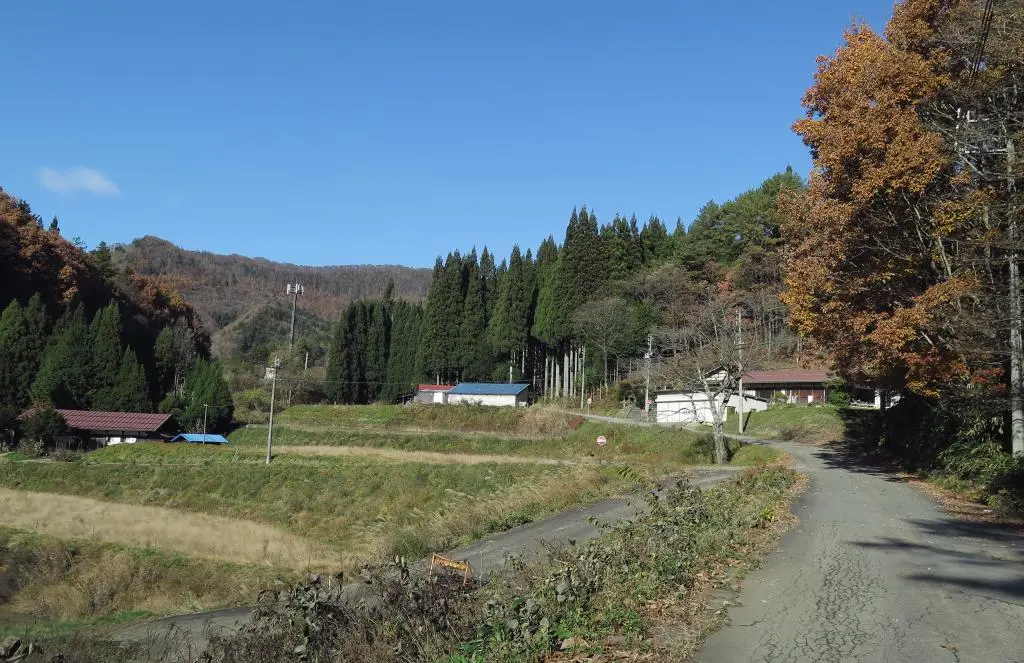 IMG_0185.jpg IMG_0185.jpg