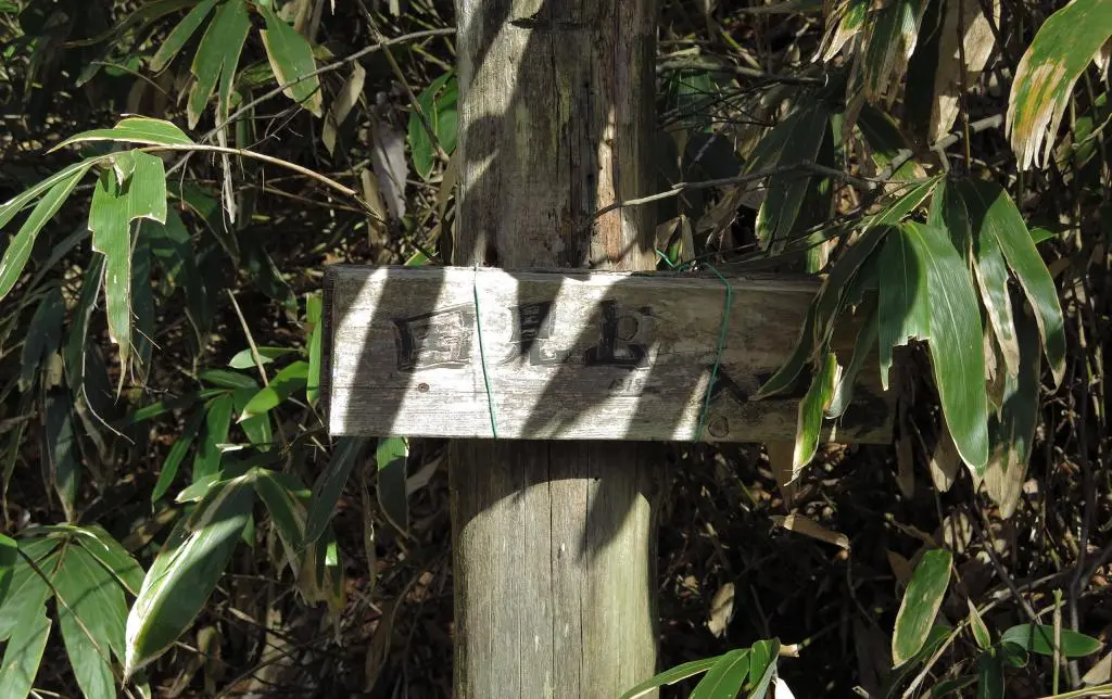 IMG_0186.jpg IMG_0186.jpg