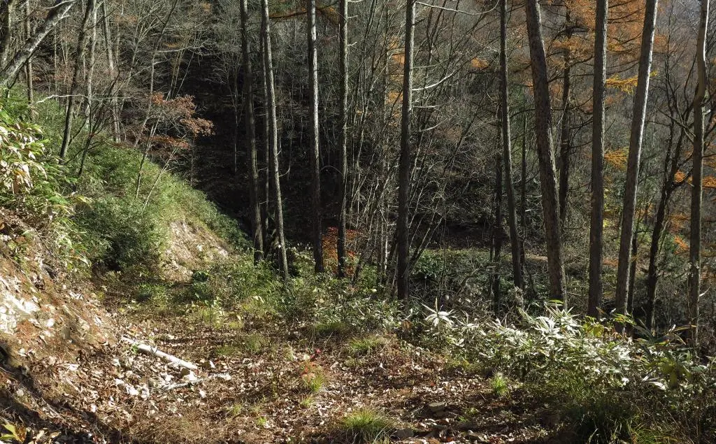 IMG_0192.jpg IMG_0192.jpg