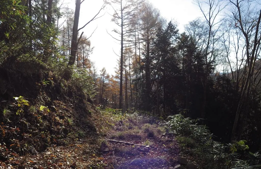 IMG_0194.jpg IMG_0194.jpg