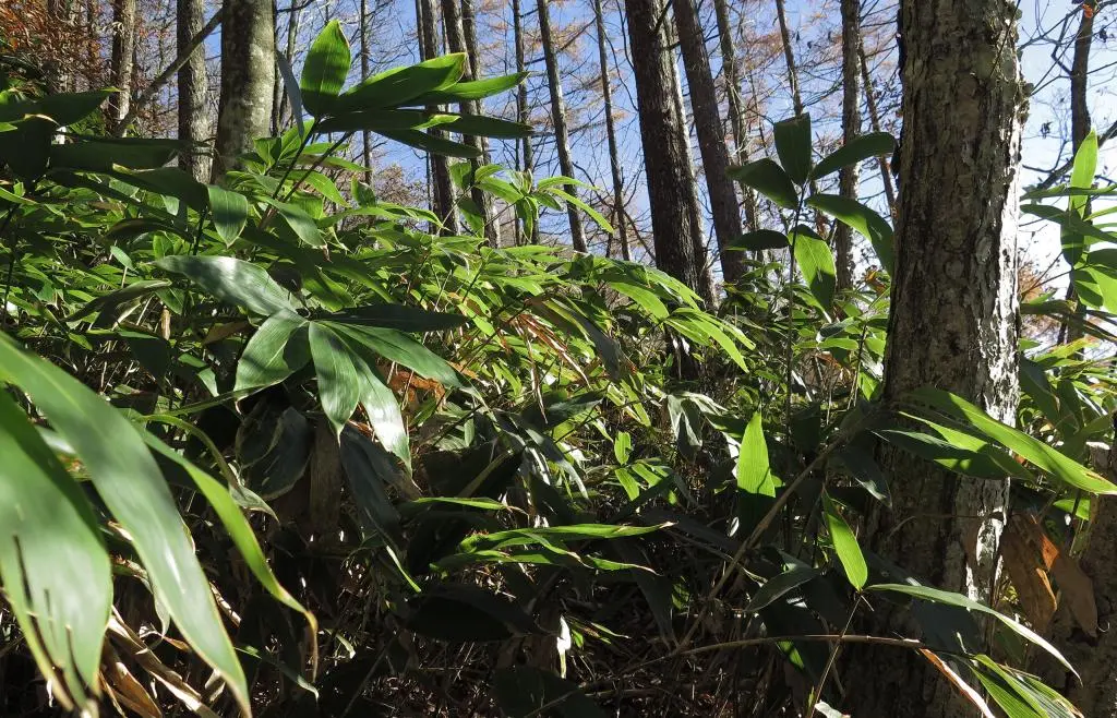 IMG_0200.jpg IMG_0200.jpg