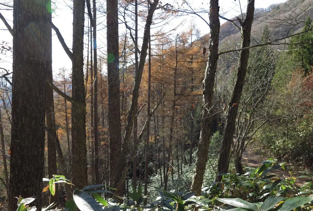 IMG_0203.jpg IMG_0203.jpg