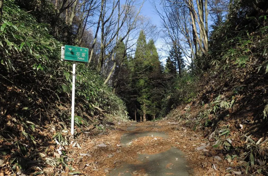 IMG_0206.jpg IMG_0206.jpg