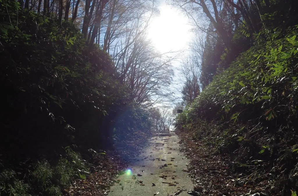 IMG_0209.jpg IMG_0209.jpg