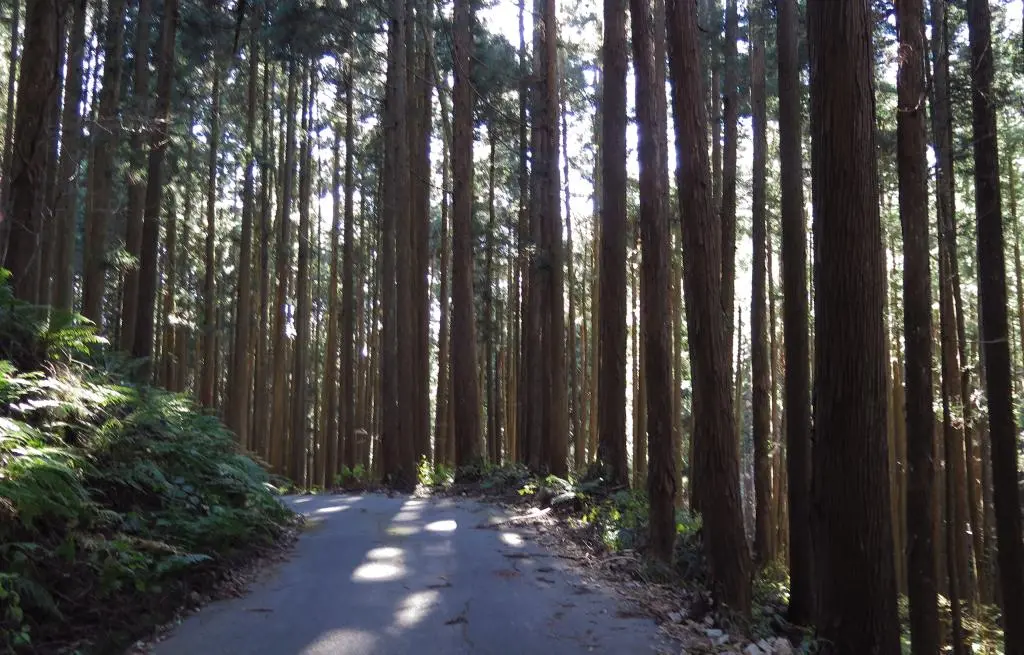 IMG_0211.jpg IMG_0211.jpg