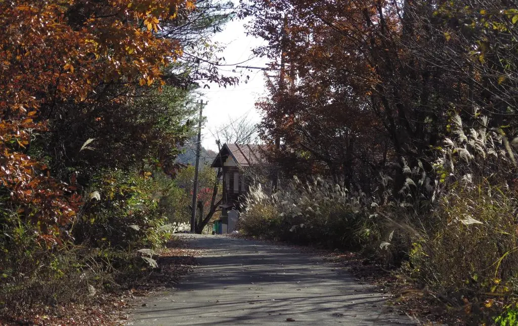 IMG_0213.jpg IMG_0213.jpg