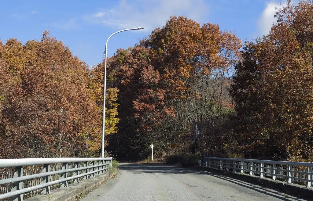 IMG_9601.jpg IMG_9601.jpg