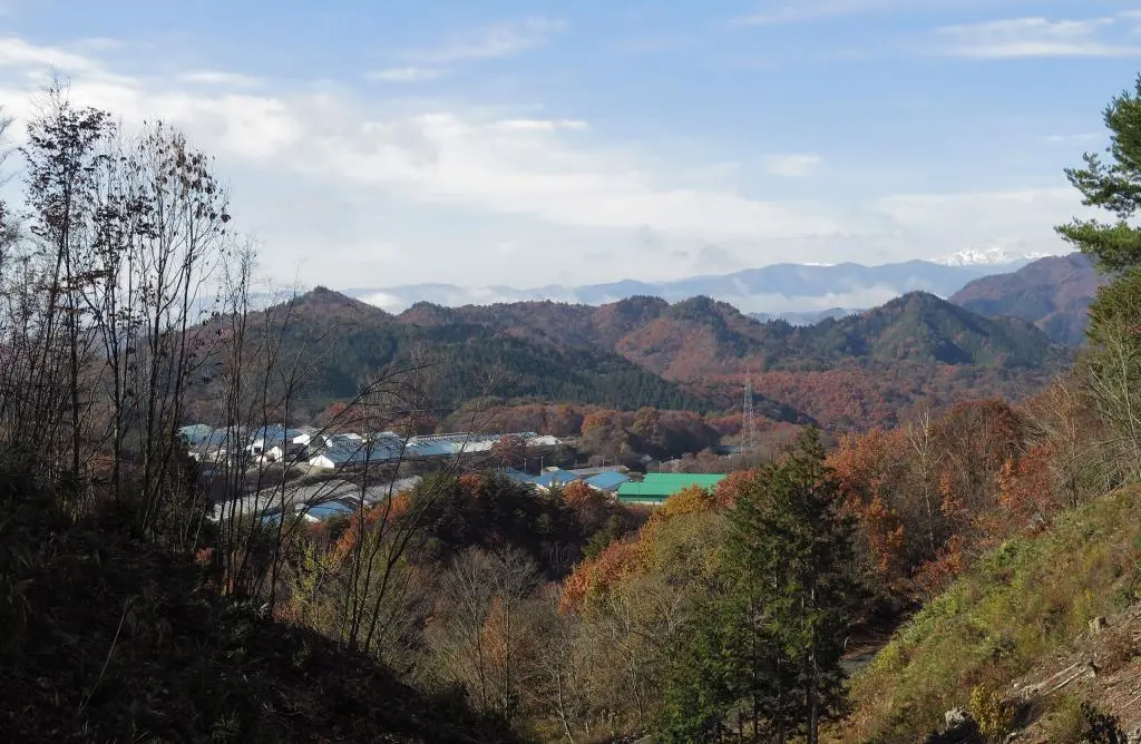 IMG_9602.jpg IMG_9602.jpg