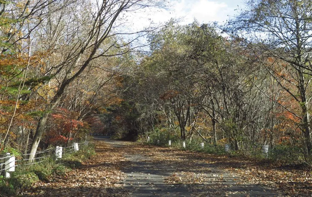 IMG_9614.jpg IMG_9614.jpg