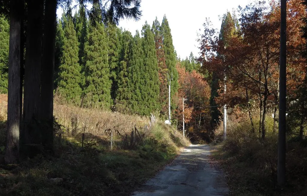 IMG_9623.jpg IMG_9623.jpg