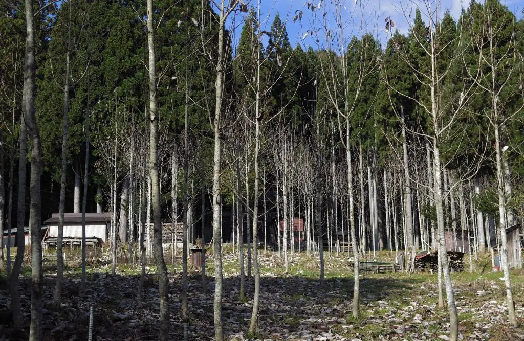 IMG_9625.jpg IMG_9625.jpg