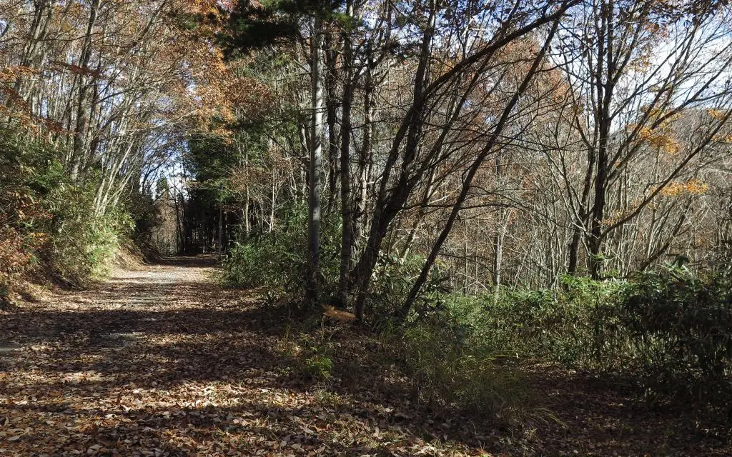 IMG_9635.jpg IMG_9635.jpg