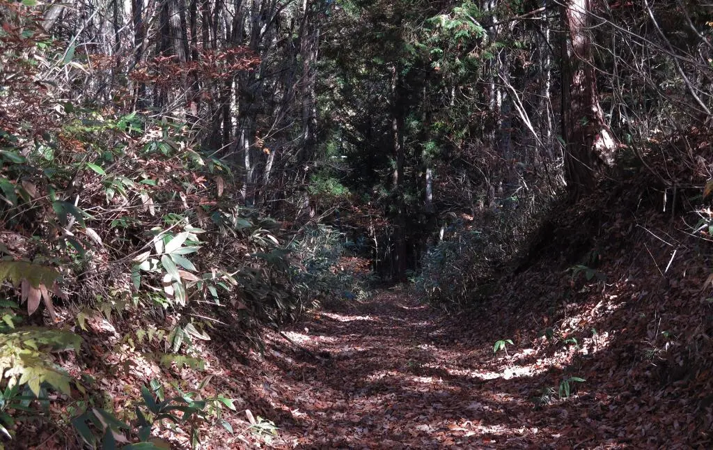 IMG_9637.jpg IMG_9637.jpg