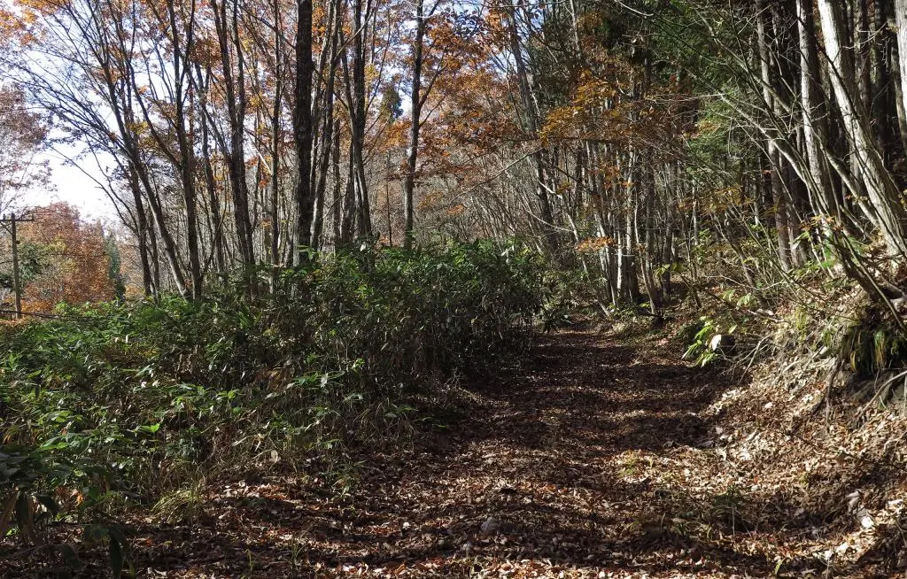 IMG_9638.jpg IMG_9638.jpg