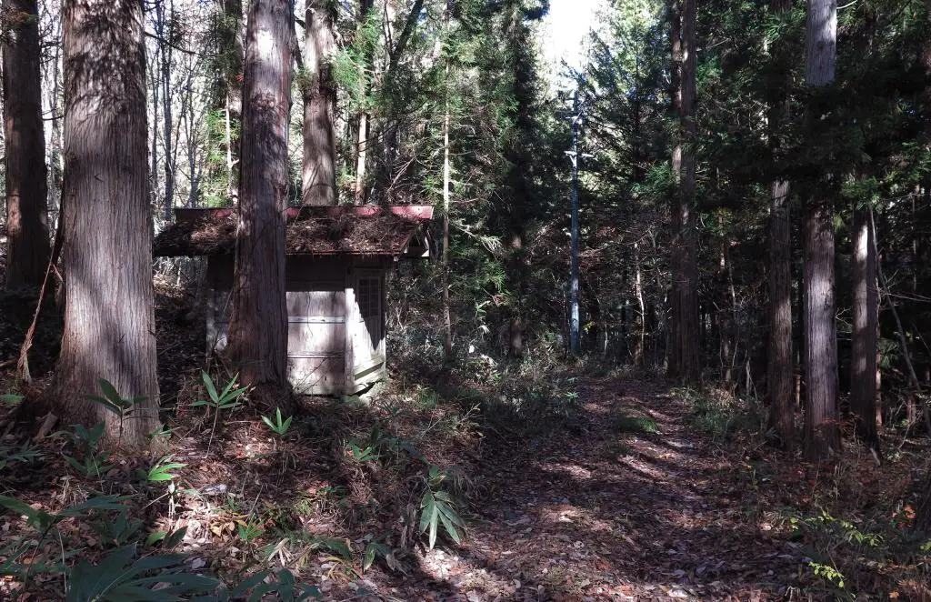 IMG_9639.jpg IMG_9639.jpg