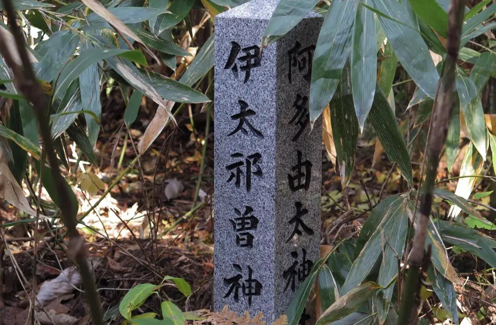 IMG_9648.jpg IMG_9648.jpg