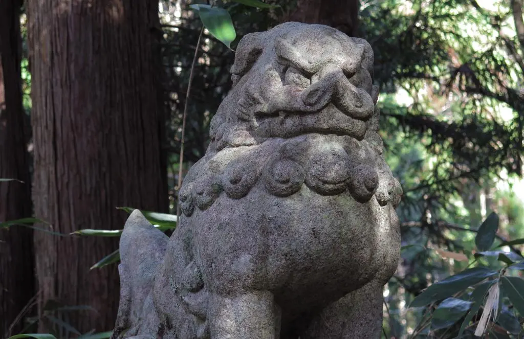 IMG_9649.jpg IMG_9649.jpg